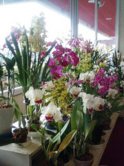 080126_1310~0002.jpg